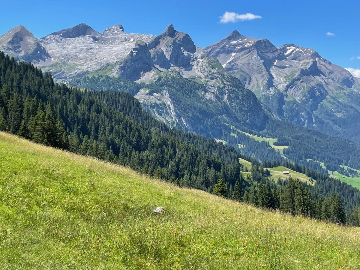 Bed and Breakfast Alpen Charme - Chalet D'Hotes Et Spa Gsteig Exterior foto